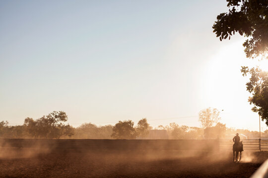 Lone rider in dusty yard