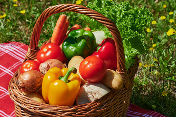 Basket of various vegetables in the sunlight on a meadow with yellow flowers.