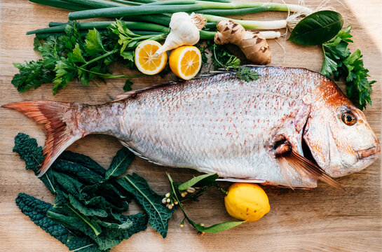 Big fresh snapper fish ready to be cooked.