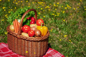Basket of various vegetables in the sunlight on a meadow with yellow flowers.