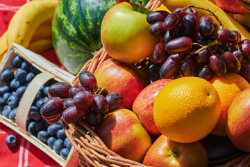 Macro shot of a basket of various fruits in the sunlight.