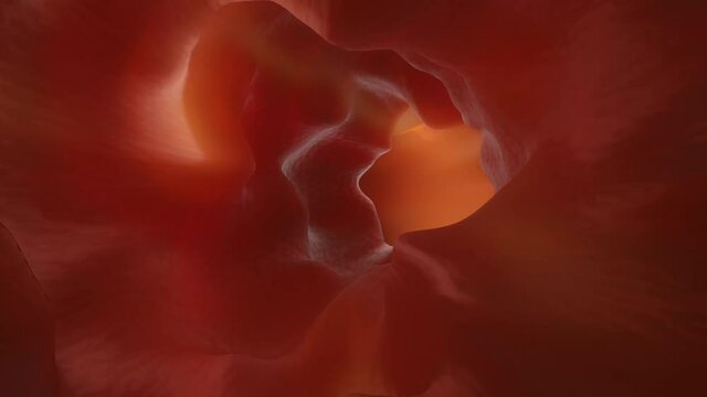 Animation of a Enteroscopy of the human intestines with a healthy peristalsis.