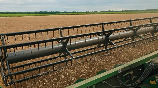 Seasonal harvesting of grain crops. Combine harvester working in the wheat field, combine harvester header close up