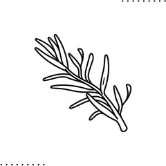 sprig of rosemary vector icon in outlines