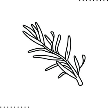 Sprig Of Rosemary Vector Icon In Outlines