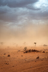 Climate change in Africa: Dirt road and yellow orange dusty sandstorm with rocks, sand, bushes and...