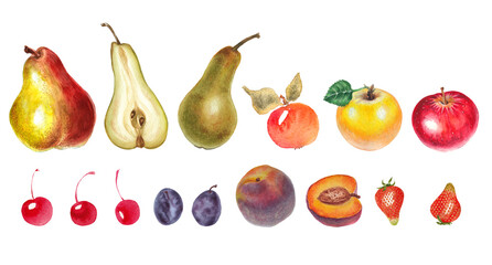 Watercolor colorful set with fruits, pear, appel, cherries, plum, peach and leaves. White background.
