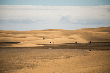 Sand dunes in Maspalomas Gran Canaria 