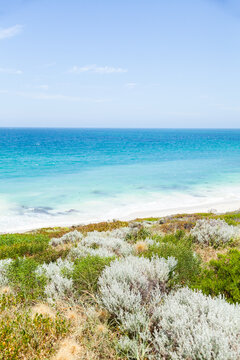 Sunlit coastland with view of shrubs, beach and clear blue coastal waters