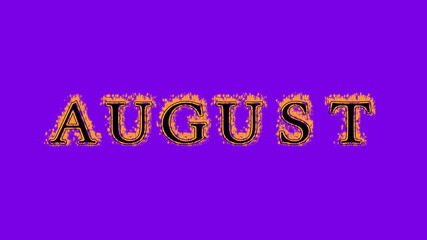 august fire text effect violet background. animated text effect with high visual impact. letter and text effect. Alpha Matte. 