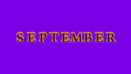 september fire text effect violet background. animated text effect with high visual impact. letter and text effect. Alpha Matte. 