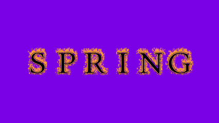 spring fire text effect violet background. animated text effect with high visual impact. letter and text effect. Alpha Matte. 