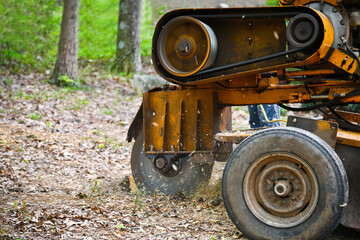 Stump Grinding