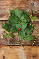 Fototapeta na wymiar Raspberry with leaves on a wooden background 