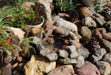 Alpine Garden, Garden Rockery Structure