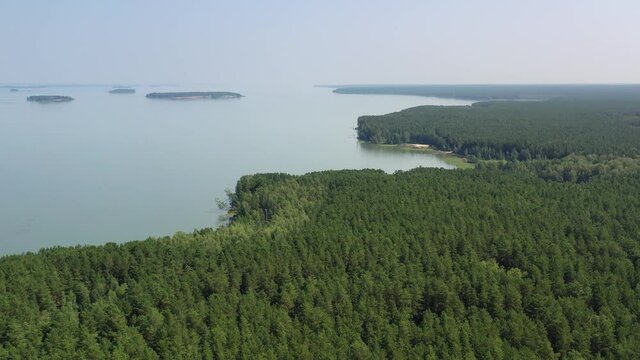 Aerial video of forest boggy lake in the Karakansky pine forest near the shore of the Ob reservoir.
