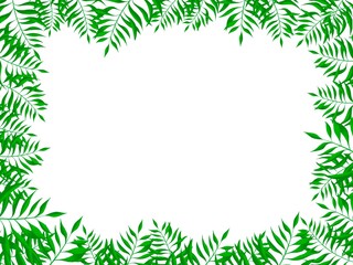 Fototapeta na wymiar frame of green tropical leaves. Tropical background.