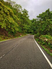 A Mountain road surrounded by trees.