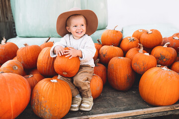 Child picking pumpkins at pumpkin patch.