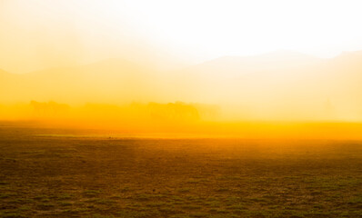 Spectacular view of wild horses at sunset. Everywhere dust cloud. Kayseri. Turkey.