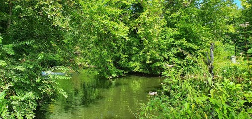 Fototapeta na wymiar Kleiner grüner Teich