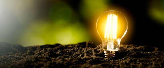 Eco environment, abstract lighting bulb concept