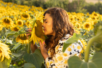 Sunflowers in summer