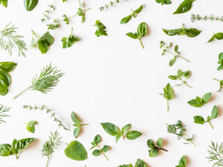 Flat-lay of various fresh green kitchen herbs. Parsley, mint, dill, basil, marjoram, thyme on white...