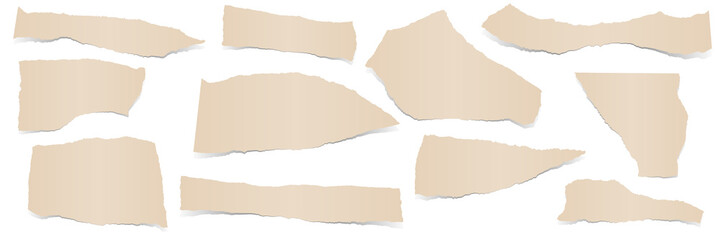 collection scrap of paper