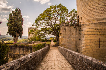 Fototapeta na wymiar Castle of Chinon in France