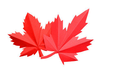 A fall origami maple leaves isolated white