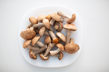 Fresh raw boletus mushrooms in white plate on white background.