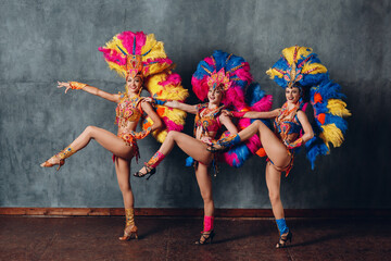 Three Women in cabaret costume with colorful feathers plumage.