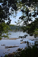 A view of the Potomac River