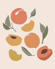 peach fruit pink orange print © Tracy