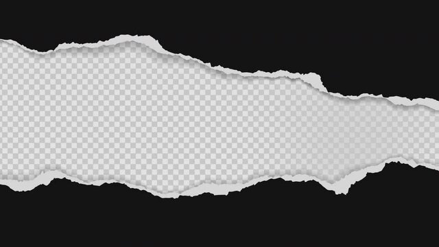 Animated black torn paper on white squared background
