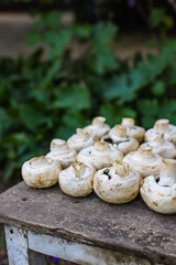 fresh mushrooms champignons harvest food background copy space organic eating healthy raw keto or paleo diet