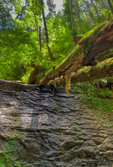 Ein Stück der Xanderklinge bei Holzbronn, Calw, Deutschland