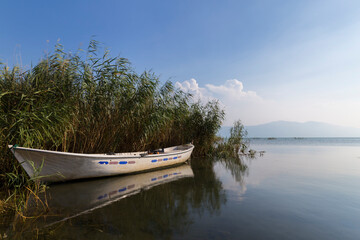 Naklejka na ściany i meble A fishing boat among the reeds. Iznik Lake. Bursa.