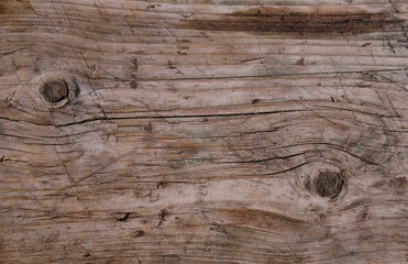 wood texture background. Old wooden background.  Woody texture.  Brown background