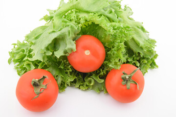 tomato and lettuce