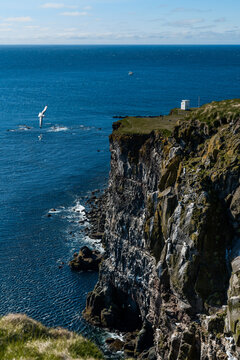 Landscape in Iceland. View of the Atlantic Ocean from a high cliff. Far below, the waves beat against a rocky bank. At arm's length, seagulls are circling over the Atlantic Ocean.