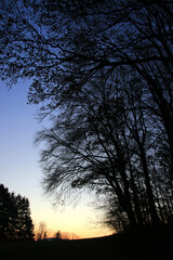 Fototapeta na wymiar Sonnenuntergang im Odenwald