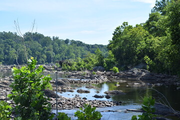 A view of Scott's Run Nature Preserve