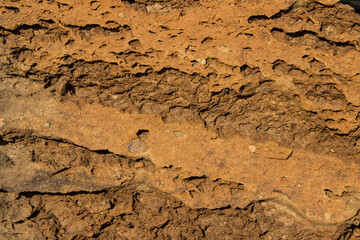 The surface of a sandstone rock by the sea, weathered and scorched by the sun