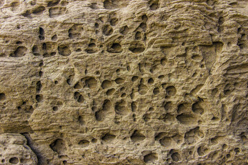 The surface of a sandstone rock by the sea, weathered and scorched by the sun