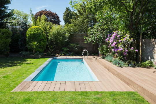 Sunny idyllic swimming pool and summer garden