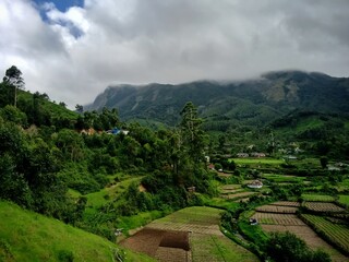 Beautiful landscape of tea plantation in the Indian state of Kerala with selective focus. landscape of the city, Munnar with its tea planatation, valley and Nilgiri mountain ranges.