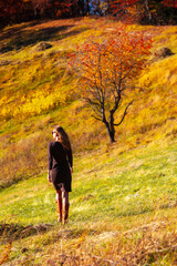 woman girl autumn forest ray sunlight red yellow deep sun