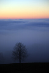 Abendstimmung im Odenwald